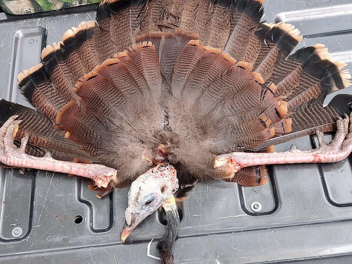 Taking the Old Man Turkey&nbsp;Hunting