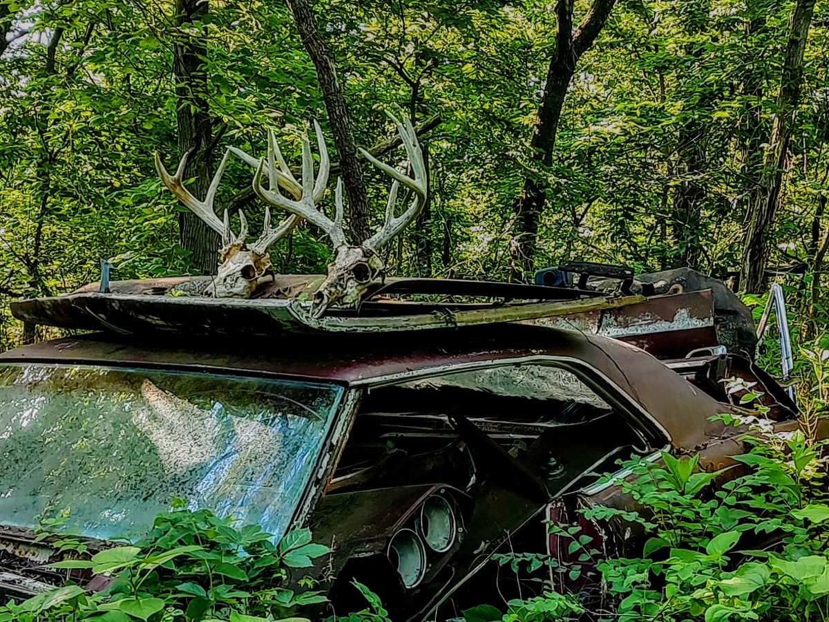 Dead Heads and Hot&nbsp;Rods