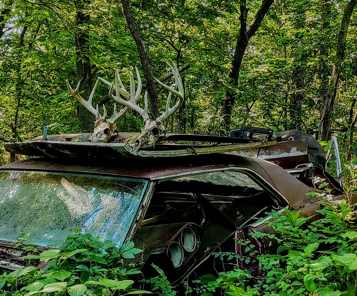 Dead Heads and Hot&nbsp;Rods